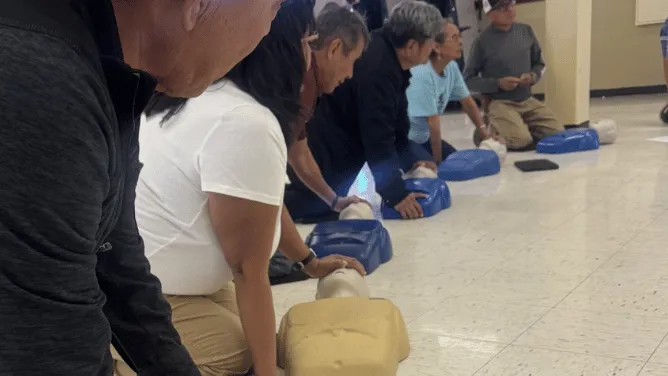 School staff members practice CPR on training mannequins during a first aid certification session.